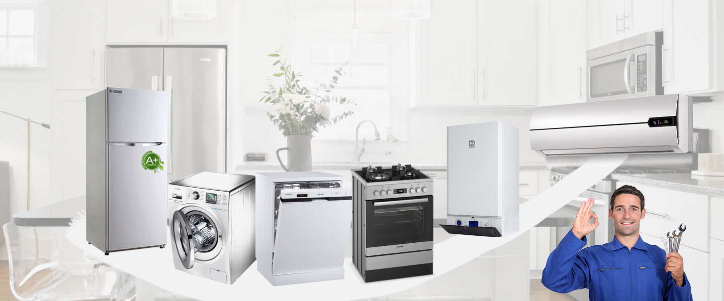 Karaisalı Smeg Servisi